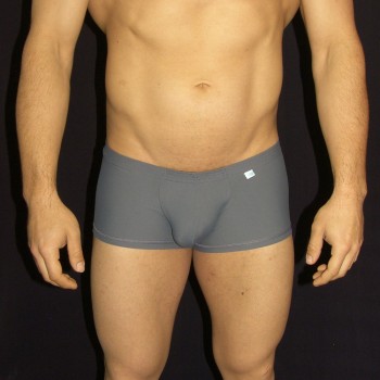 es el legendario boxer KDT gris acero