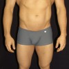 es el legendario boxer KDT gris acero