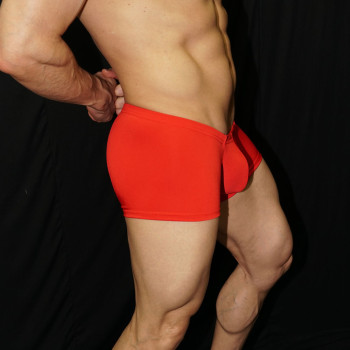 KDT Boxer Rojo
