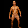 Venta en linea Sutien masculino con trasero en forma de Y